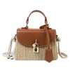 Small Straw Crossbody Bag
